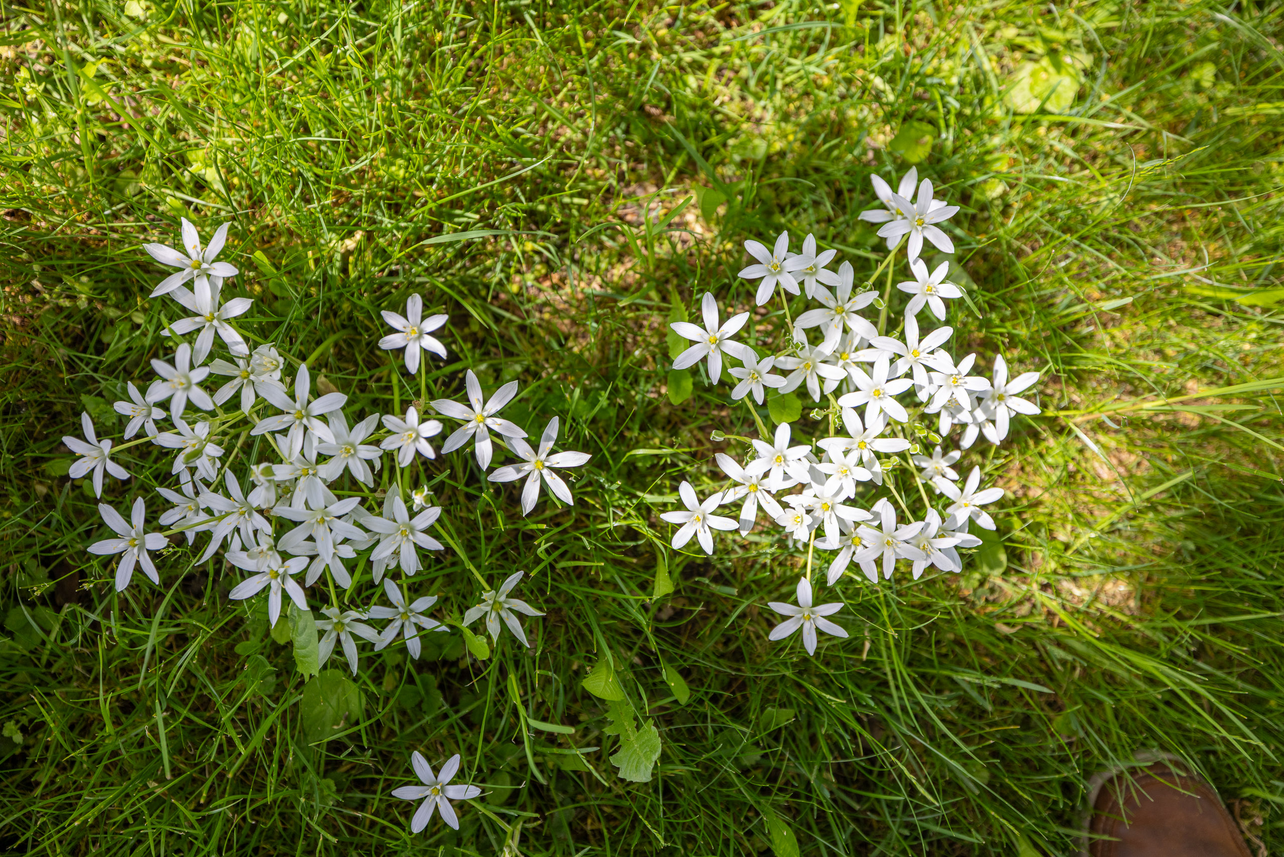 20230507143636 R5D 1043